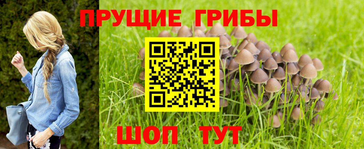 Галлюциногенные грибы Cubensis Соликамск