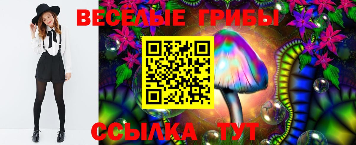 Соликамск  Галлюциногенные грибы MAGIC MUSHROOMS  Вход с VPN 
